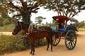 01 Per paard en wagen door Bagan